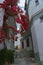 Small cute street in Skopelos