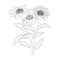 small daisy tattoo, elegant minimalist daisy tattoo, daisy tattoo black and white. Simple daisy flower coloring pages.