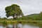 Small dam in green veld