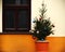 Small decorated christmas tree in a pot in front of bright building wall