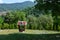 small decorated well in the yard