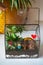 Small decoration plants in a glass garden terrarium forest. Terrarium house with piece of forest with self ecosystem in modern