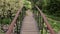 Small decorative bridge in the garden