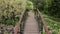 Small decorative bridge in the garden