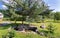 A small decorative lake, surrounded by stones next to large and lush spruce trees