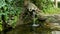 A small decorative mushroom fountain in a stone pool with a waterfall from a pitcher. Landscape design