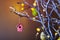 Small decorative nesting box hanging on tree branch indoor with warm bokeh on background