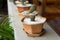 Small decorative pots with flowers cacti. View from above. Decor with fresh flowers. Home Flowers