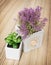 Small decorative potted plants on the wooden background