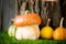 Small decorative pumpkins