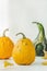 Small decorative pumpkins and leaves on white. Fall abstract background