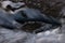 Small Deep Crevice Forming In A Glacier