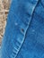 A small deer tick found on the blue jeans, pant leg of a man