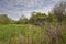 A small Derelict Farm Building hidden in the undergrowth of a small Pasture.