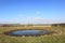 A small dew pond in a corner of an arable field in February