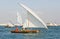 Small Dhows Racing off Dubai