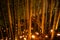 Small-diameter light-up of the bamboo grove small desk Castle forest of citizen