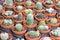 Small different types of cactus plants.