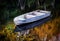 Small dinghy boat in the autumn