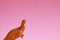 Small dinosaur toy on a pink background