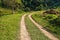 A small dirt road that curves heading to the forest