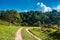 A small dirt road that curves heading to the forest