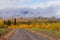 Small dirt road golden taiga fogs Yukon Canada