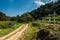 A small dirt road to the forest Chiang Mai Thailand