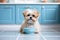 A small dog with a bowl in a kitchen