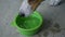 Small dog breed Jack Russell Terrier drinking from a green bowl of water.