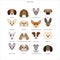 Small Dog Breeds Illustrations