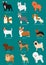 Small dog breeds set