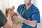 small dog at the reception at the veterinarian. Image of dog on the operating table and doctor in a veterinary clinic