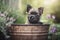 a small dog sitting in a flower pot with its head sticking out