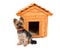 Small dog with wooden dog\'s house