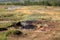 Small dormant geyser in Iceland