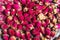 Small dried tea rose buds