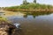 Small dying river was overgrown with marsh plants. Pollution of surrounding straddle, rapid growth of algae. Ecological problem. R