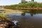 Small dying river was overgrown with marsh plants. Pollution of surrounding straddle, rapid growth of algae. Ecological problem. R