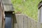 Small Eastern chipmunk (Tamias striatus) climbing on wooden fence