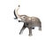 Small Elephant statue isolated