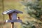 Small European goldfinch in bird feeder