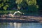 Small excavator cleans the bottom of the pond from silt