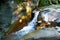 Small fair waterfall among the rocks in mountain forest