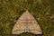 Small fan-foot moth (Herminia tarsicrinalis)