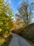 Small fantasy road in the hills surrounded by untouched nature consisting of colorful trees. Taking a walk or hiking in the wild