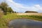 Small farm pond with hawthorn hedgerow