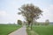 small farm road through swampland ThÃ¼rer Wiesen