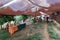 Small farmers and artisans market in Las Chinas village near Galaroza, Huelva, Spain