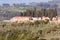 Small farming village in the Tuscan countryside